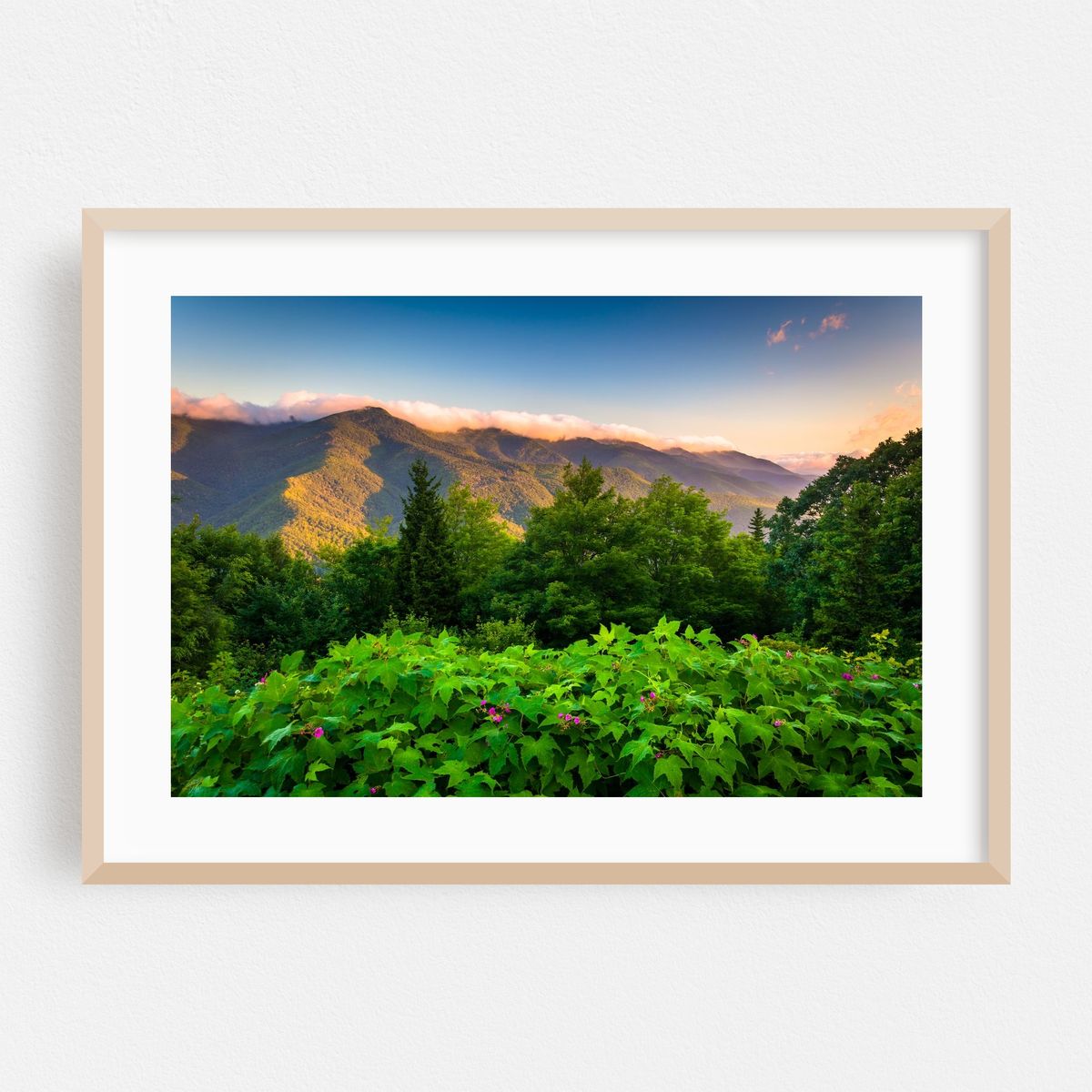 Mt. Mitchell Overlook – image 1 of 6