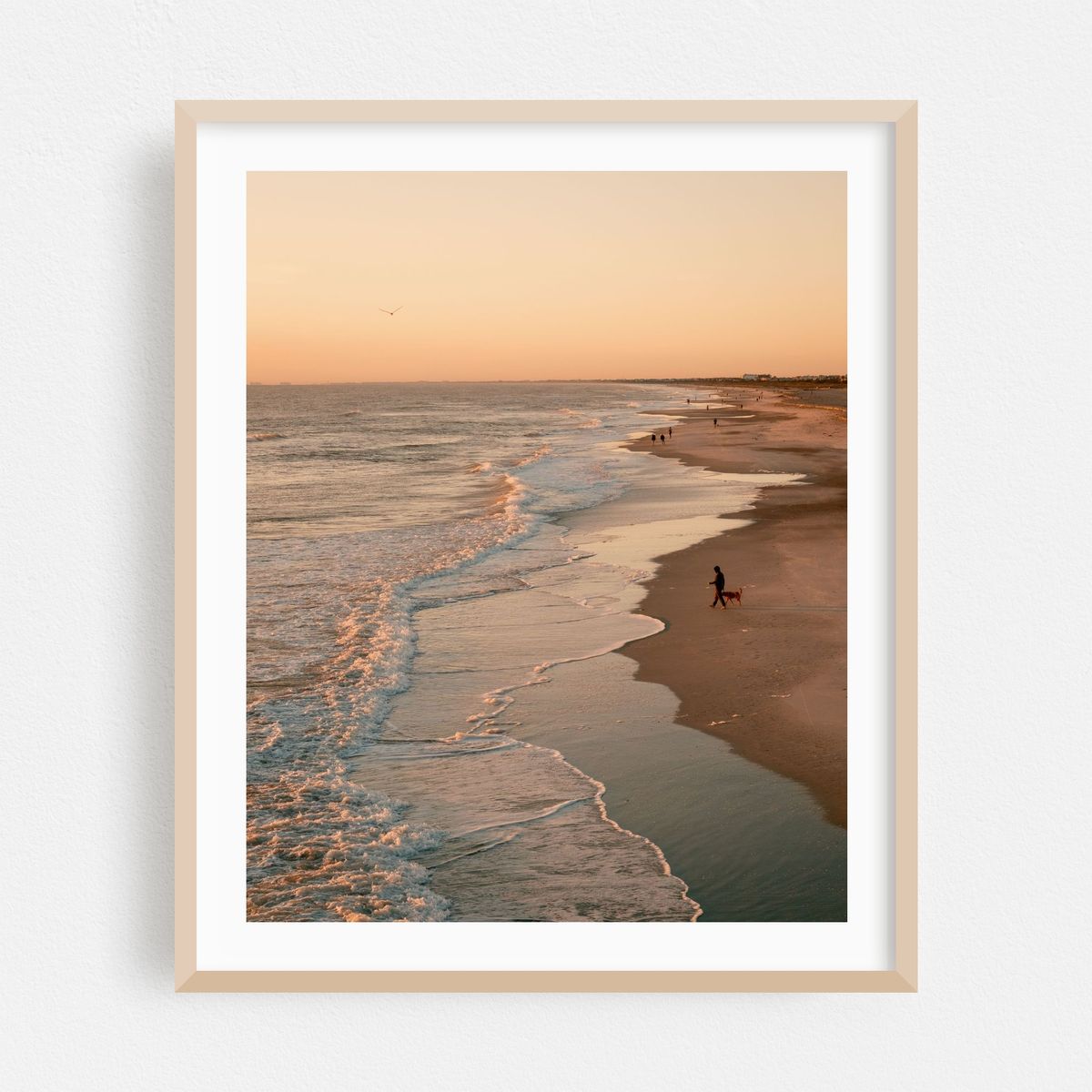 St. Augustine Beach at Sunrise – image 1 of 12