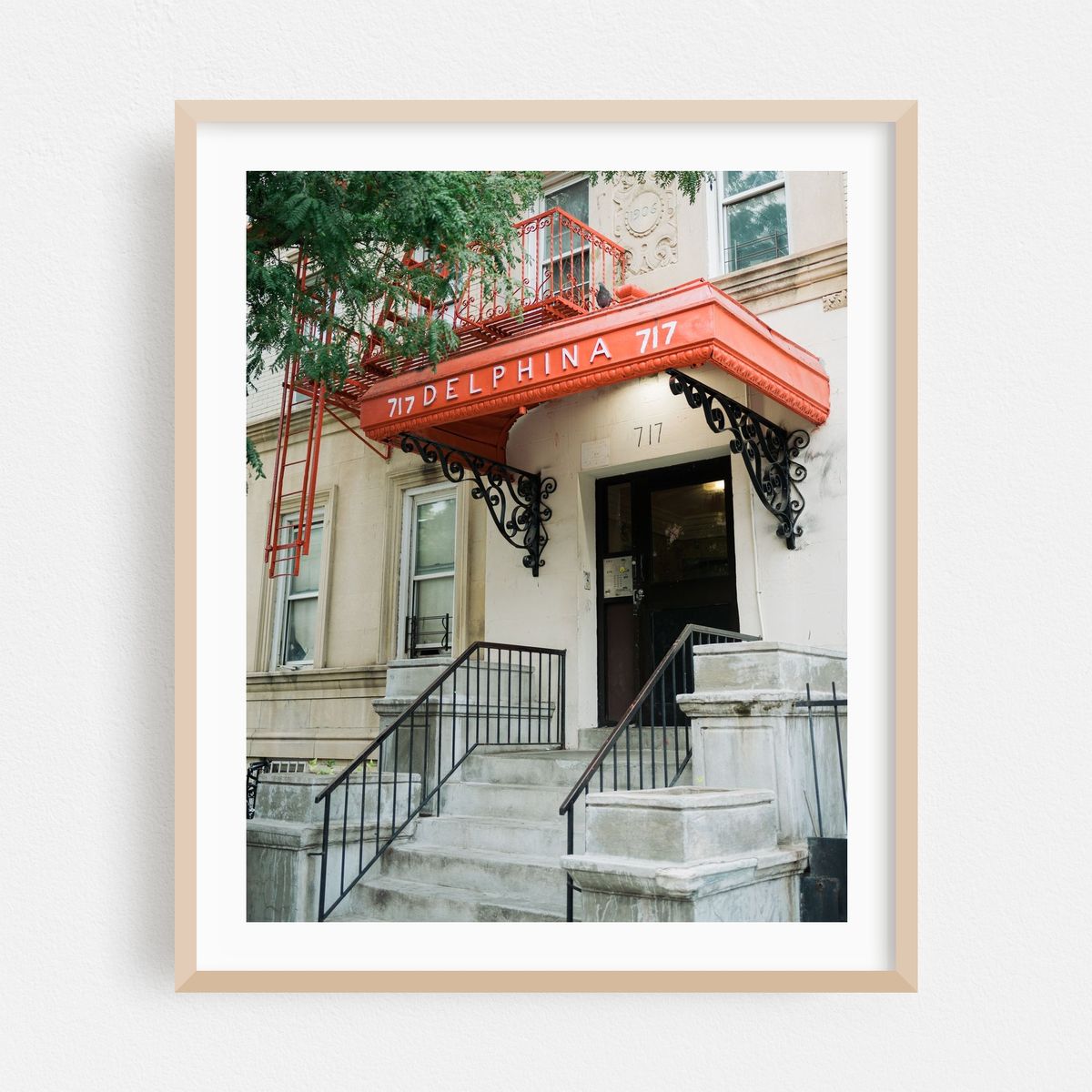 Delphina, Crown Heights – image 1 of 12