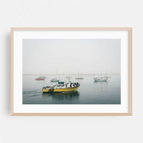 Boats in Morro Bay 04