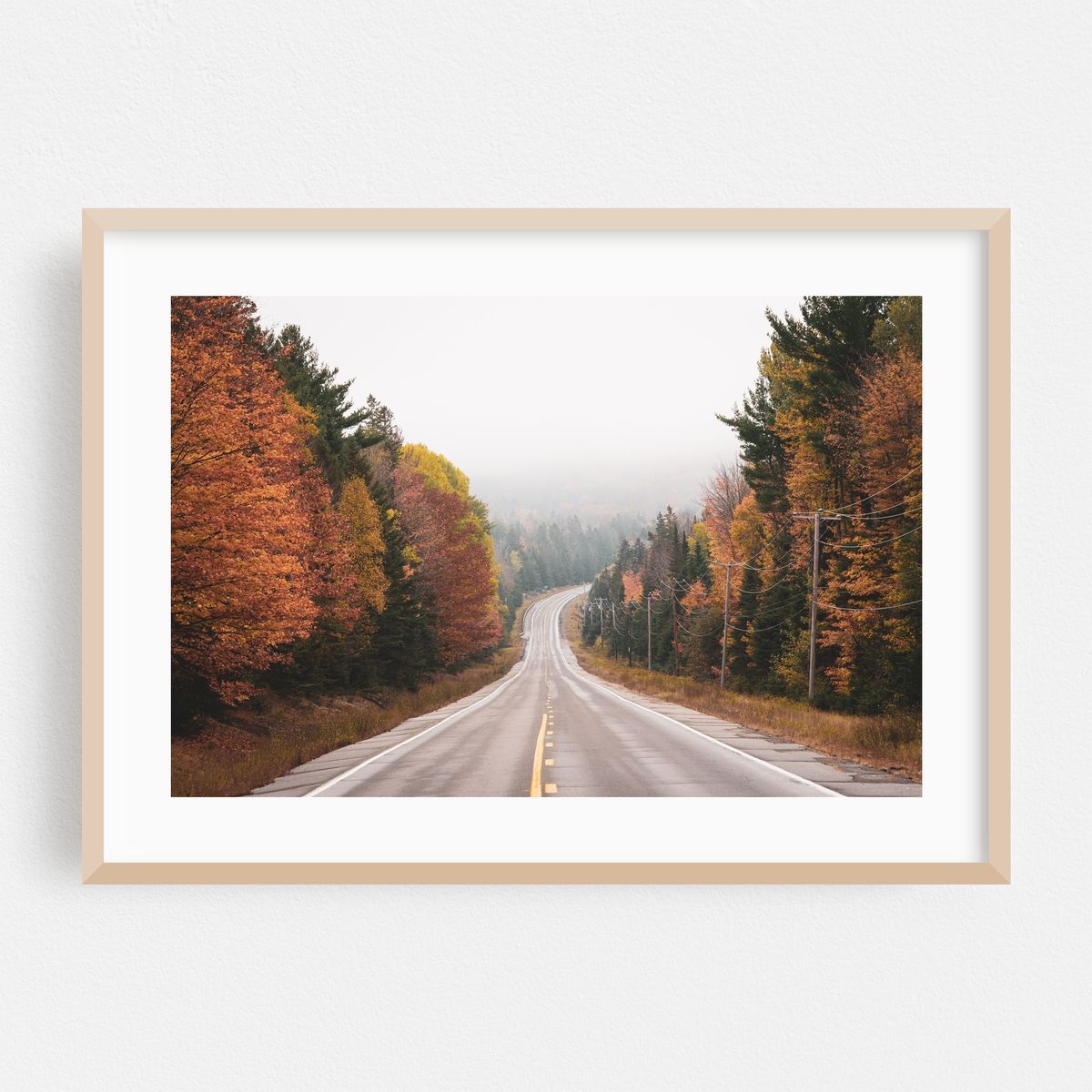 Greenville Autumn – image 1 of 6