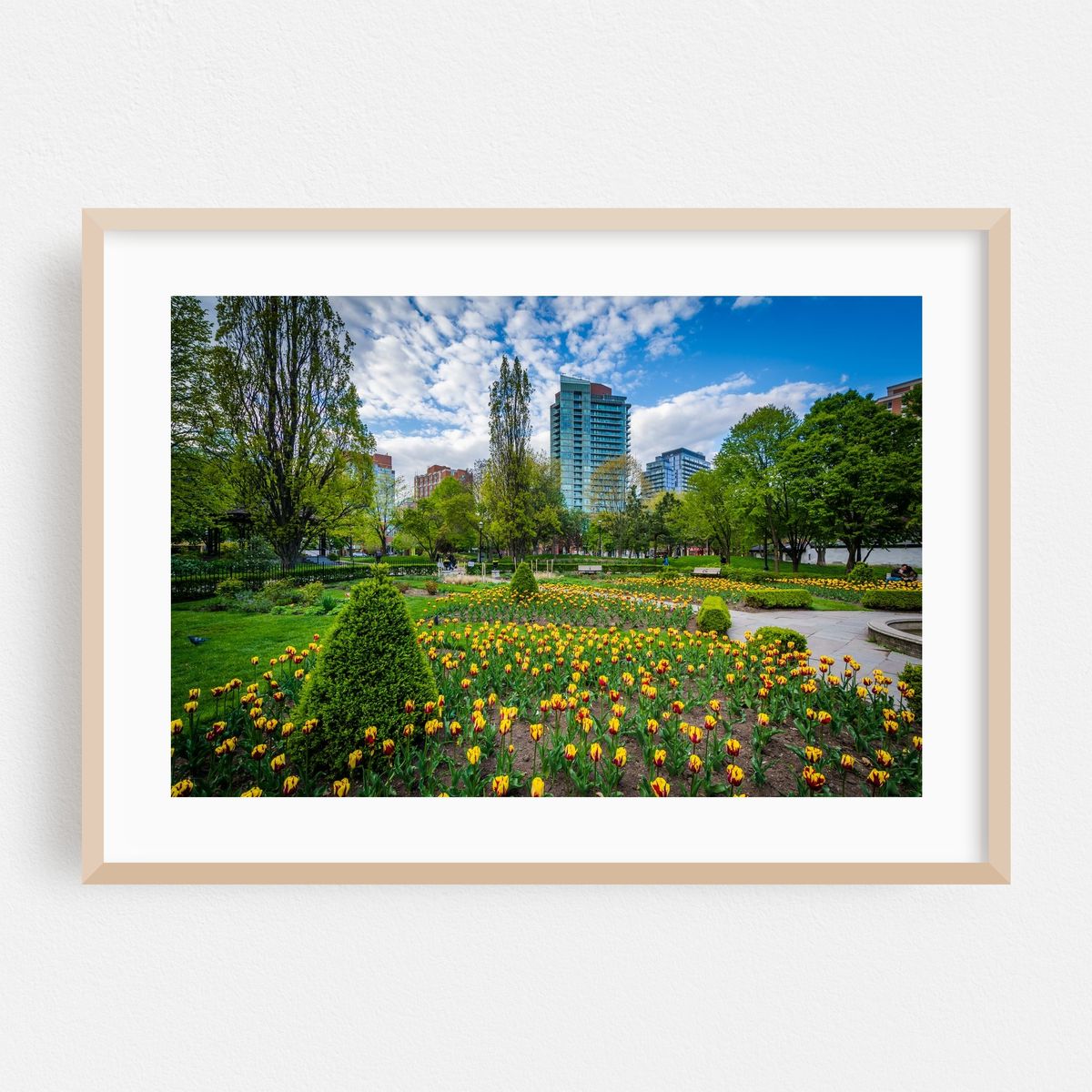 Saint James Park – image 1 of 6