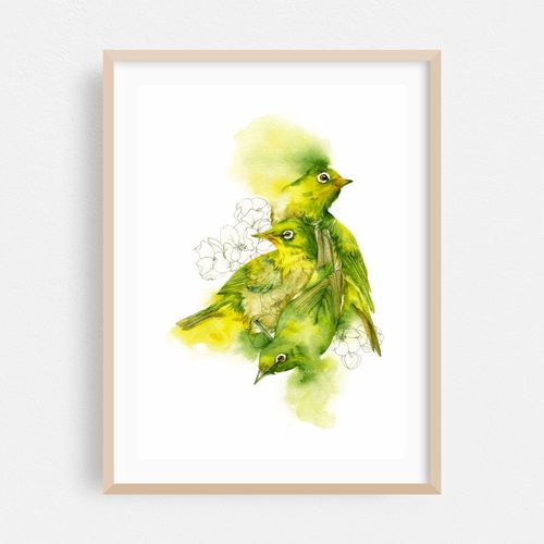 Three Japanese White-Eyes | Watercolor Art Painting