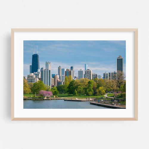 The Chicago Skyline & South Pond