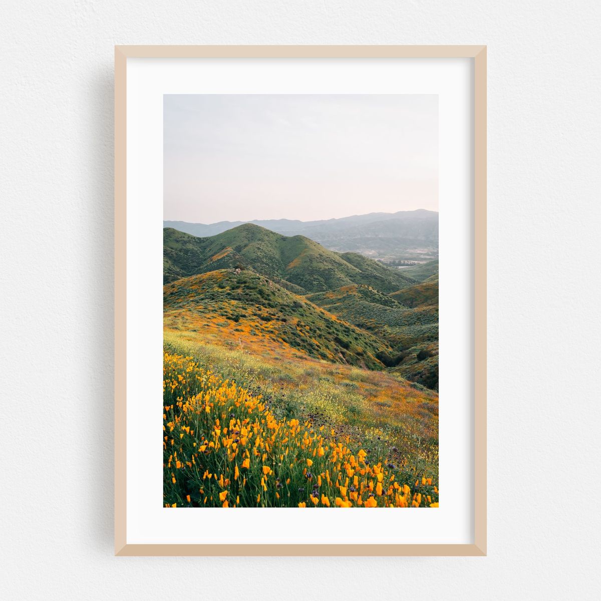Superbloom Poppies 03 – image 1 of 16