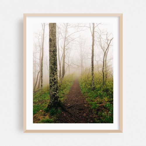Trail to Sharp Top 01