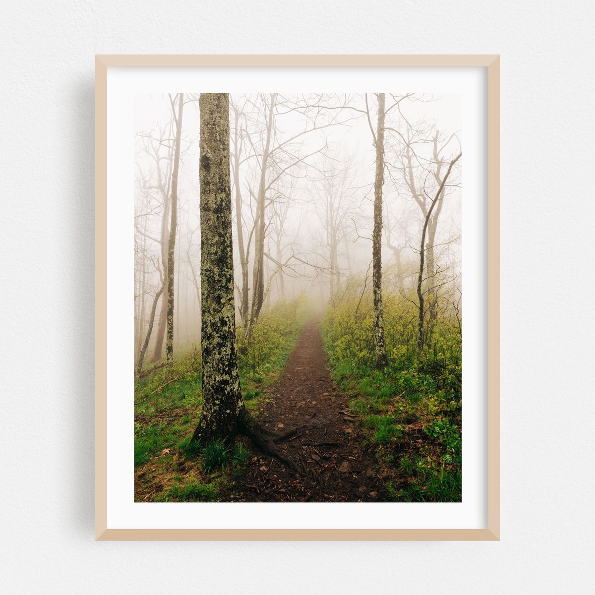 Trail to Sharp Top 01 – image 1 of 12