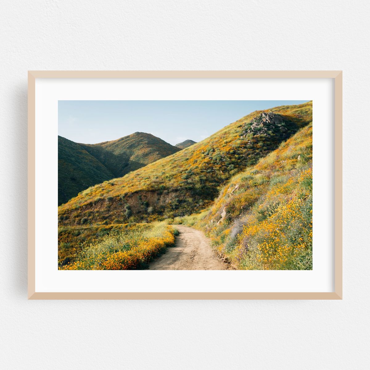 Walker Canyon Trail 02 – image 1 of 6