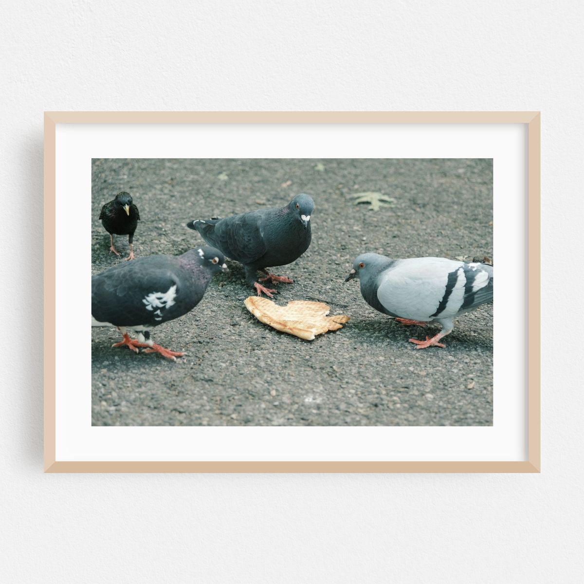 Feast – image 1 of 6