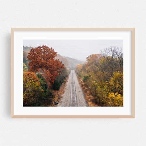 Tracks by The James