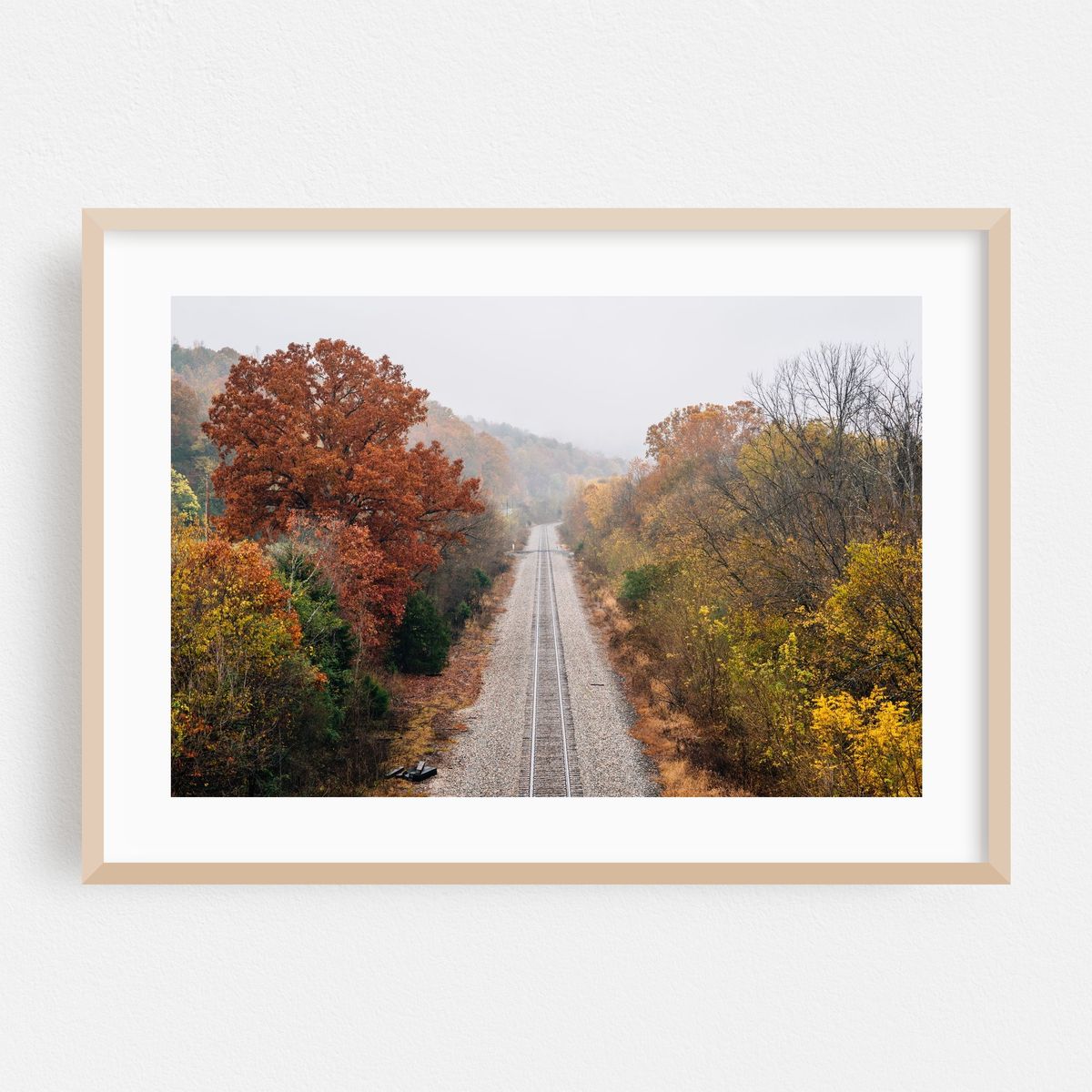 Tracks by The James – image 1 of 6