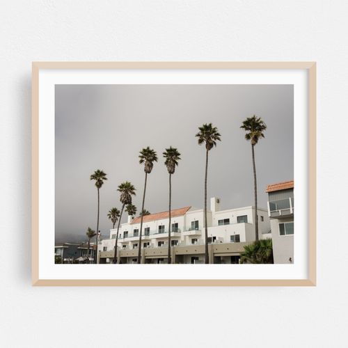 Pismo Palms