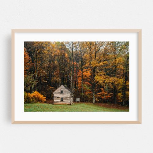 Lonely Cabin