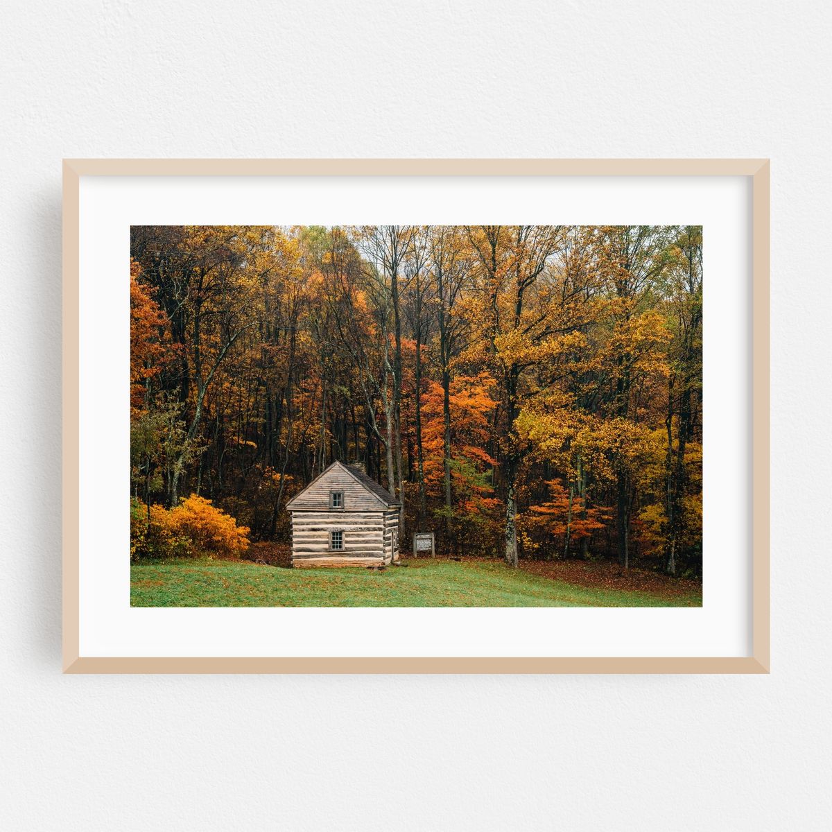 Lonely Cabin – image 1 of 6