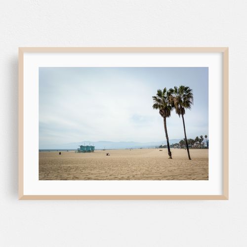 Palms