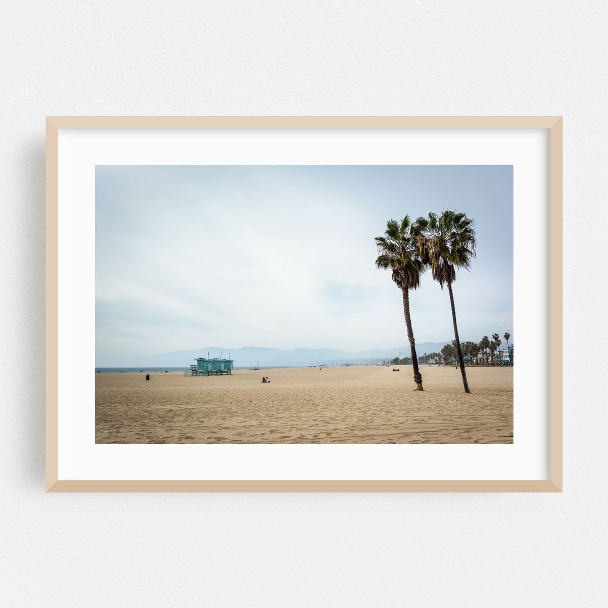 Palms – image 1 of 6