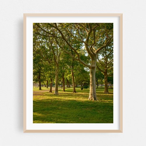 Juniper Valley Park, Queens