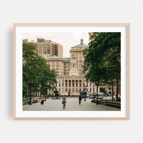 Brooklyn Borough Hall 03