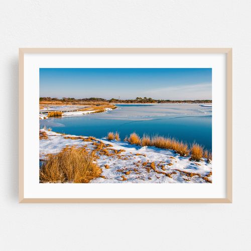 Snow Covered Assateague Island