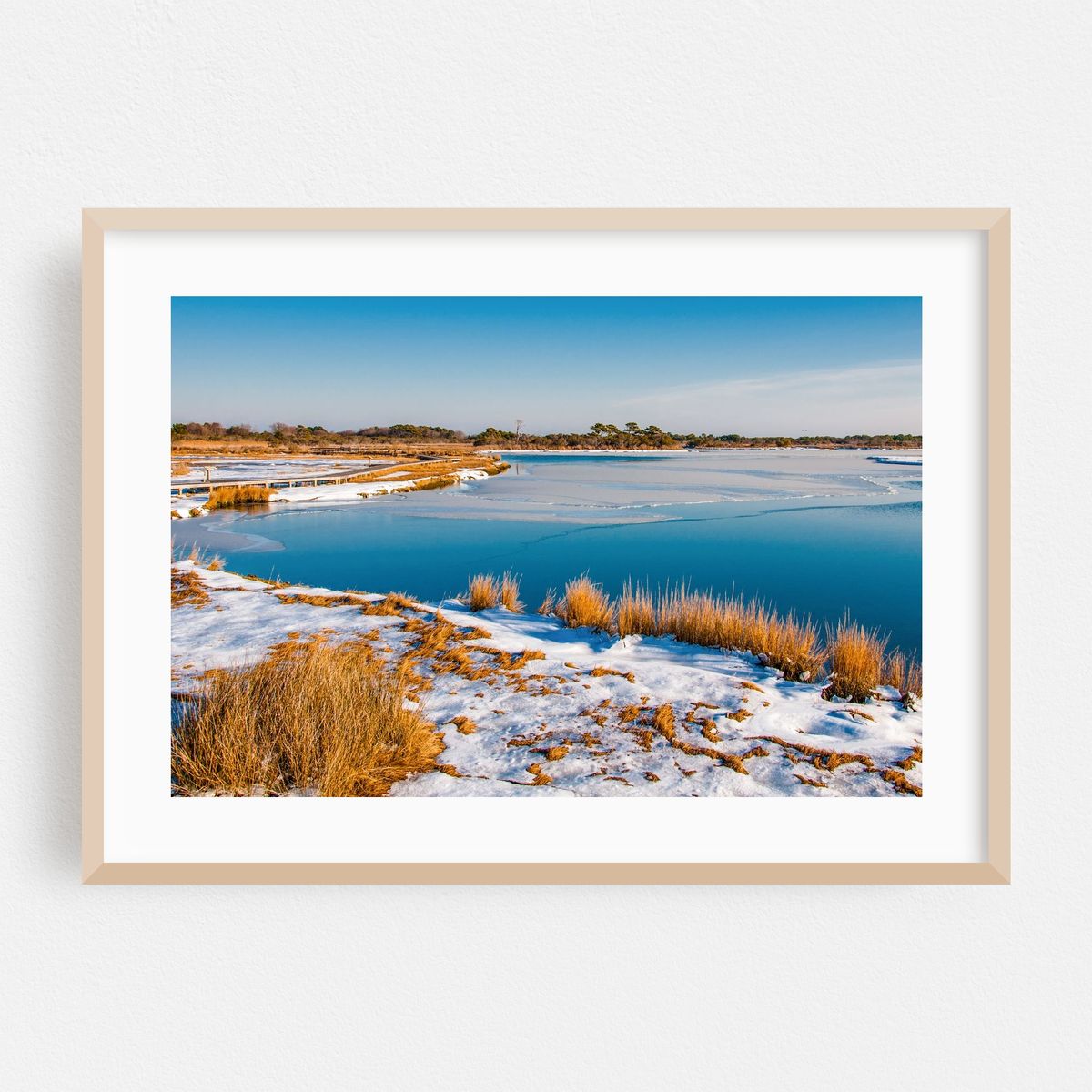 Snow Covered Assateague Island – image 1 of 6