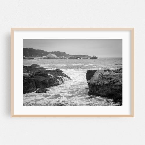 Making Space in Point Lobos B&W