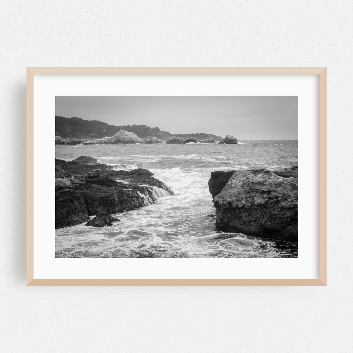 Making Space in Point Lobos B&W – image 1 of 6