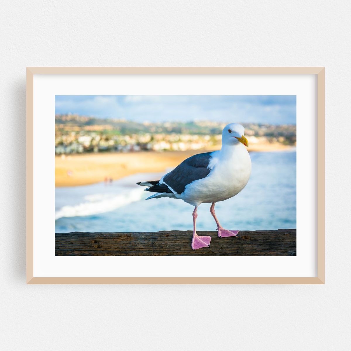 Balboa Pier Seagull – image 1 of 6