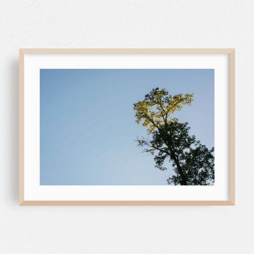 Elk Neck Arbor