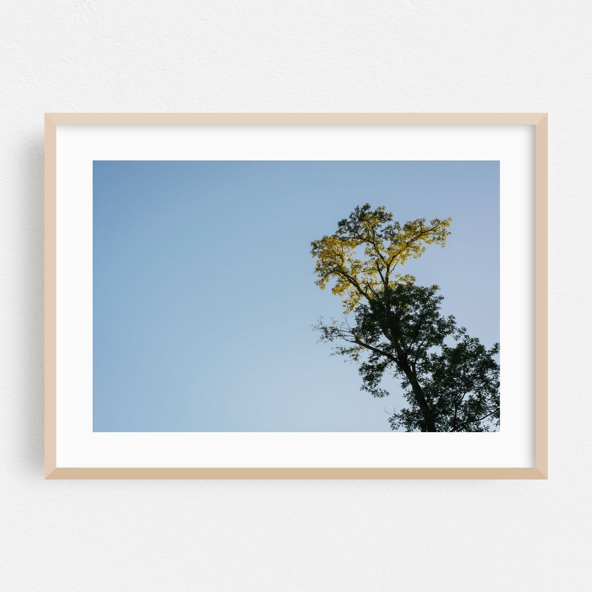 Elk Neck Arbor – image 1 of 6