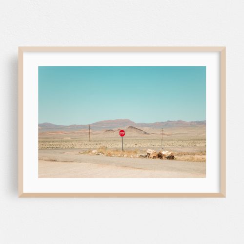 Rachel Nevada Landscape