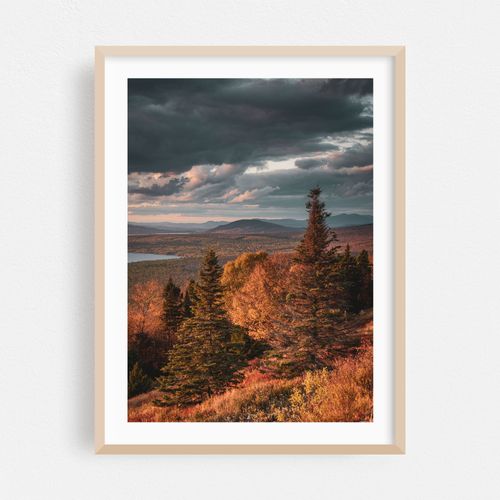 Height of Land Pines