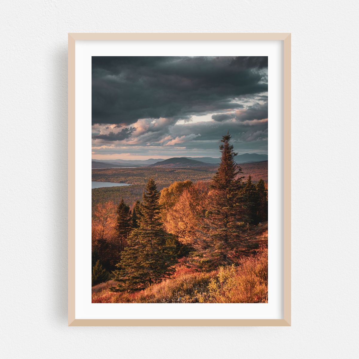 Height of Land Pines – image 1 of 15