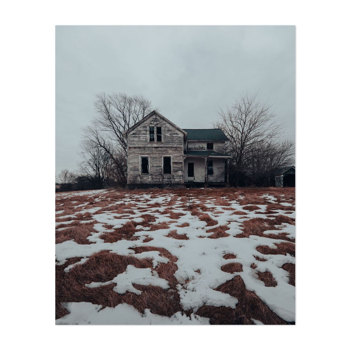 Owl House 01 – image 1 of 2