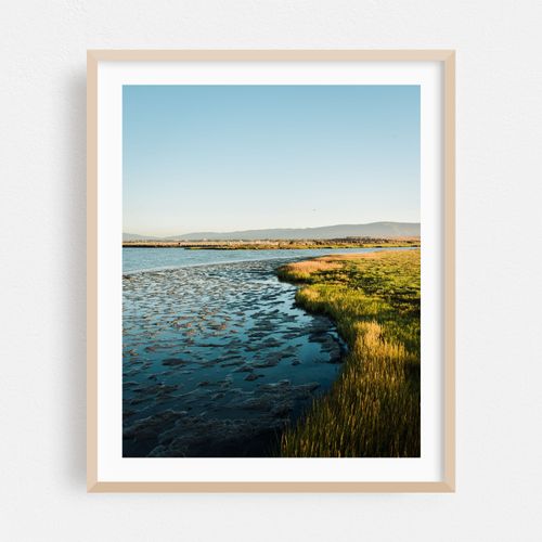 Baylands Nature Preserve, Palo Alto 05