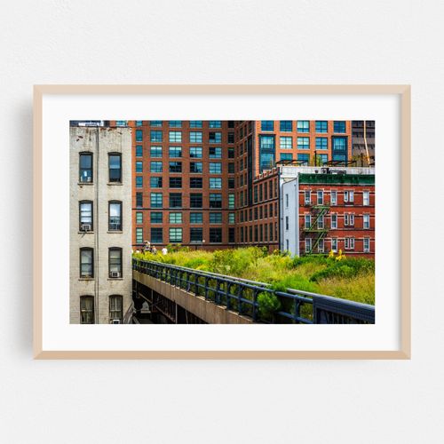 The High Line 01