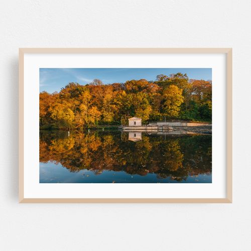 Reflections at Lake Roland 02
