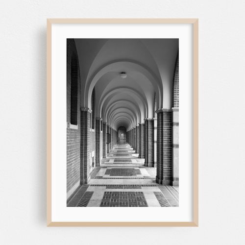 Arches, Rice University 02