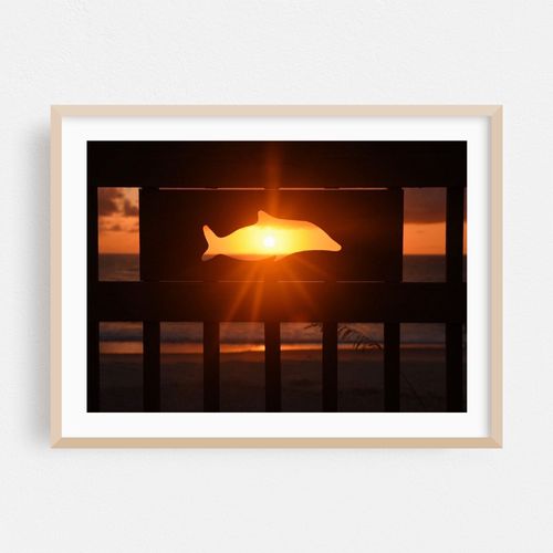 Marineland Sunrise
