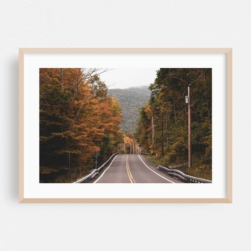 Catskills Autumn 03
