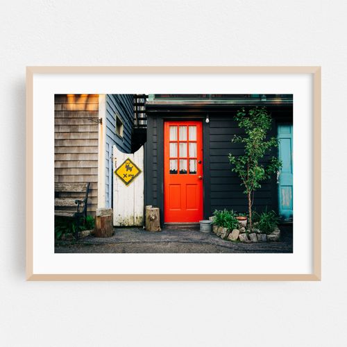 Cat Crossing, Rockport