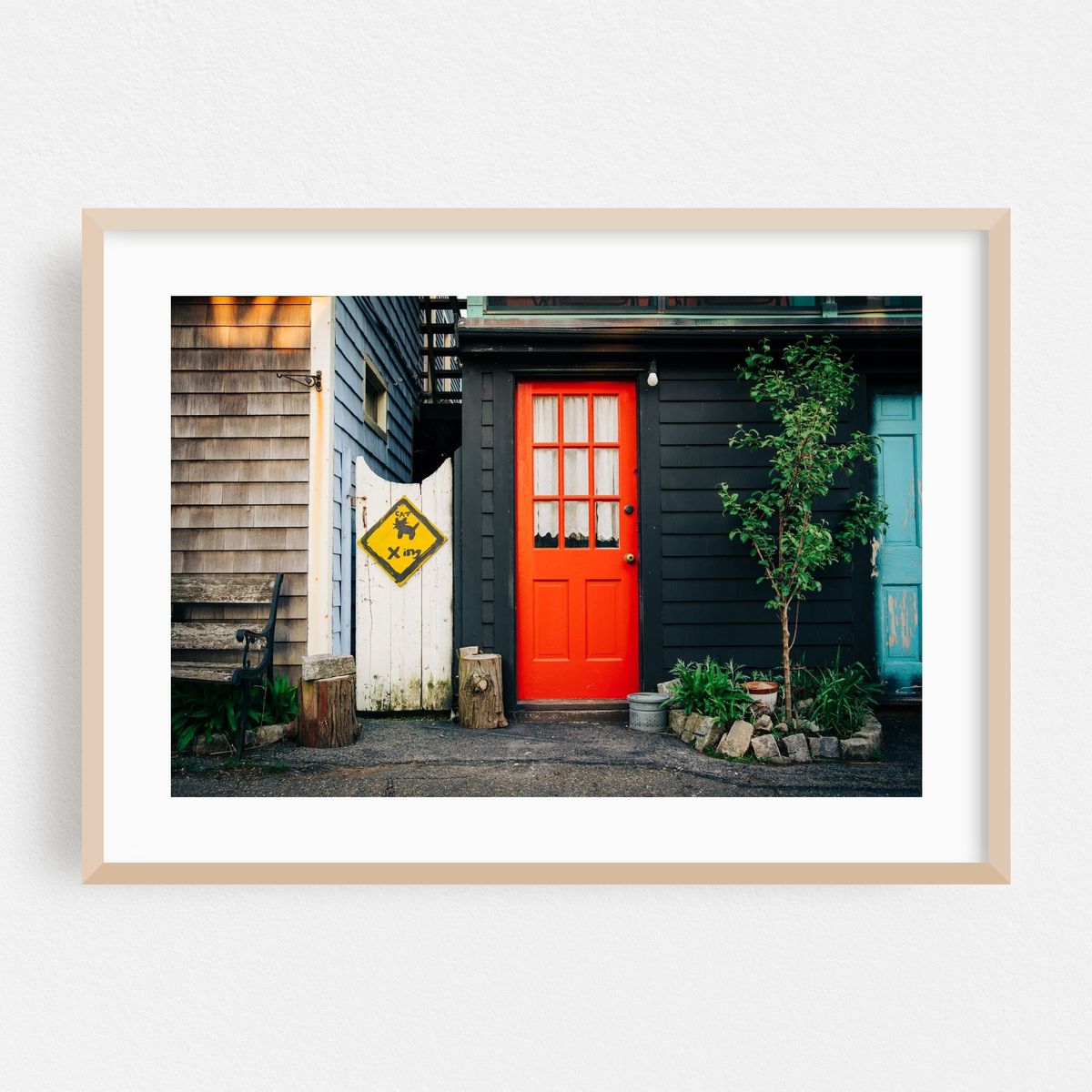 Cat Crossing, Rockport – image 1 of 6