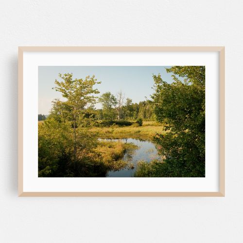 Dresser Brook, Williamsburg