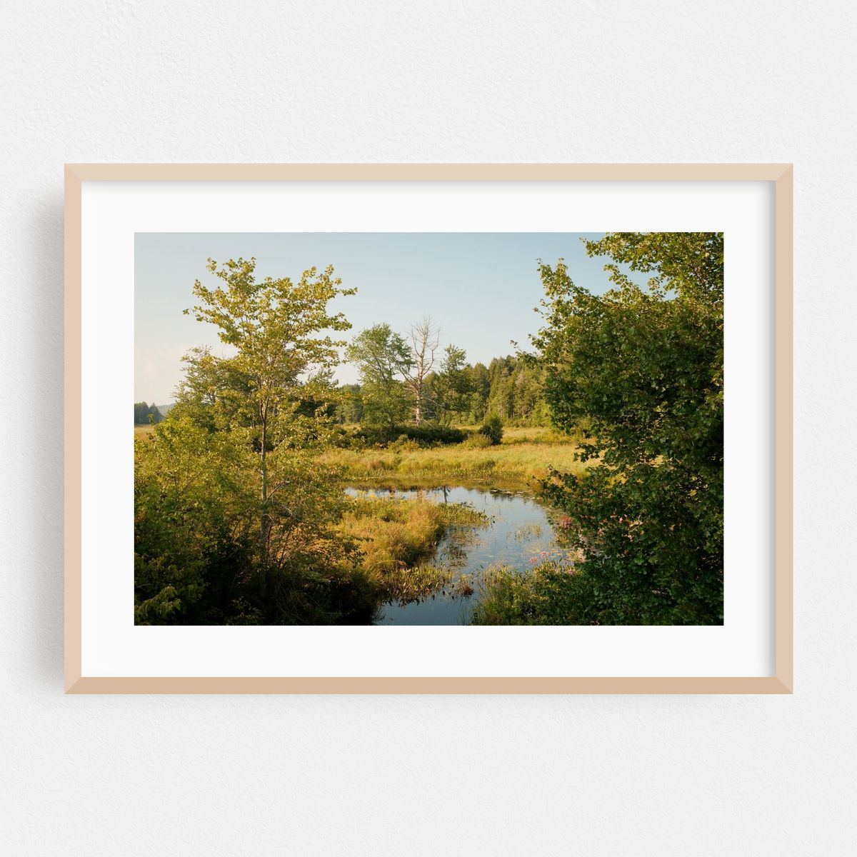 Dresser Brook, Williamsburg – image 1 of 6