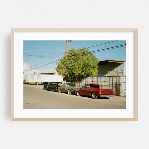 Chihuahuita Trucks