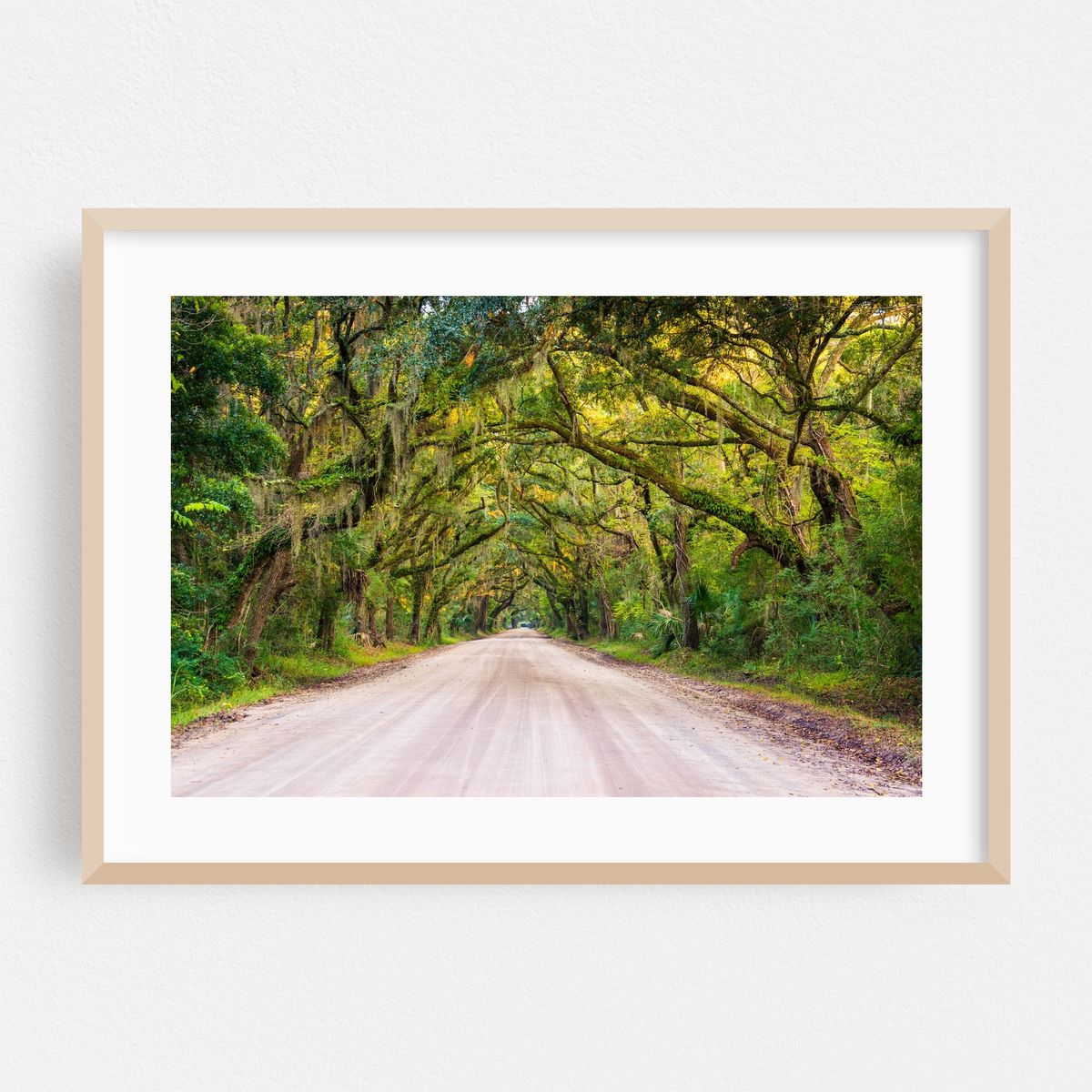 To Botany Bay – image 1 of 6