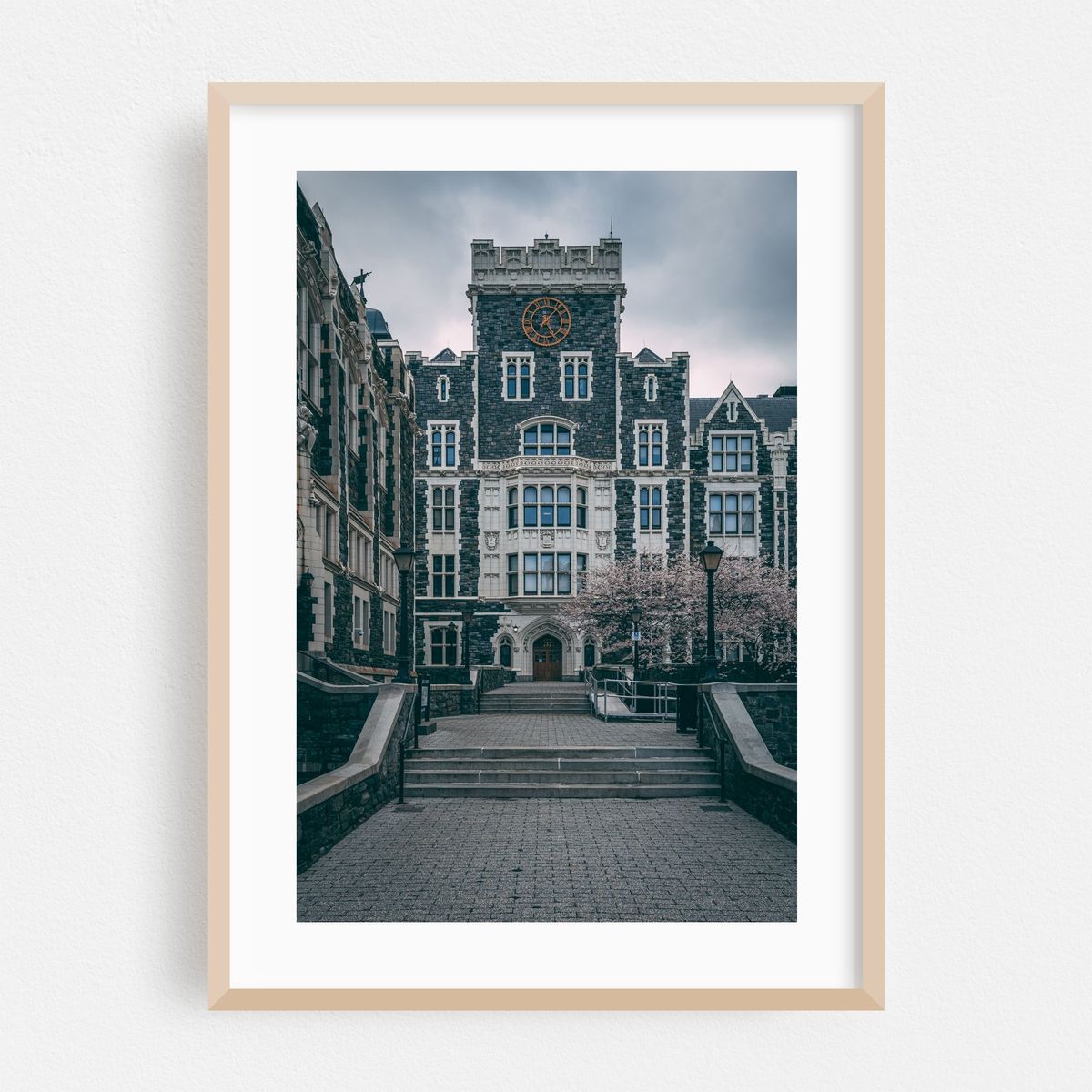 CCNY Architecture – image 1 of 16