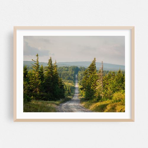 Road in Dolly Sods 04