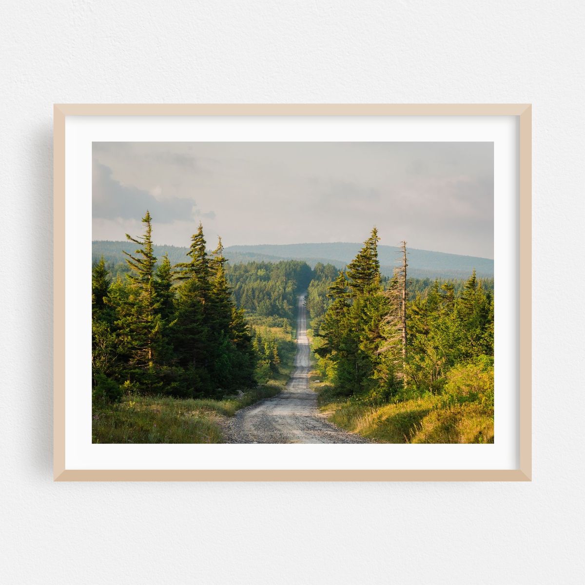 Road in Dolly Sods 04 – image 1 of 3