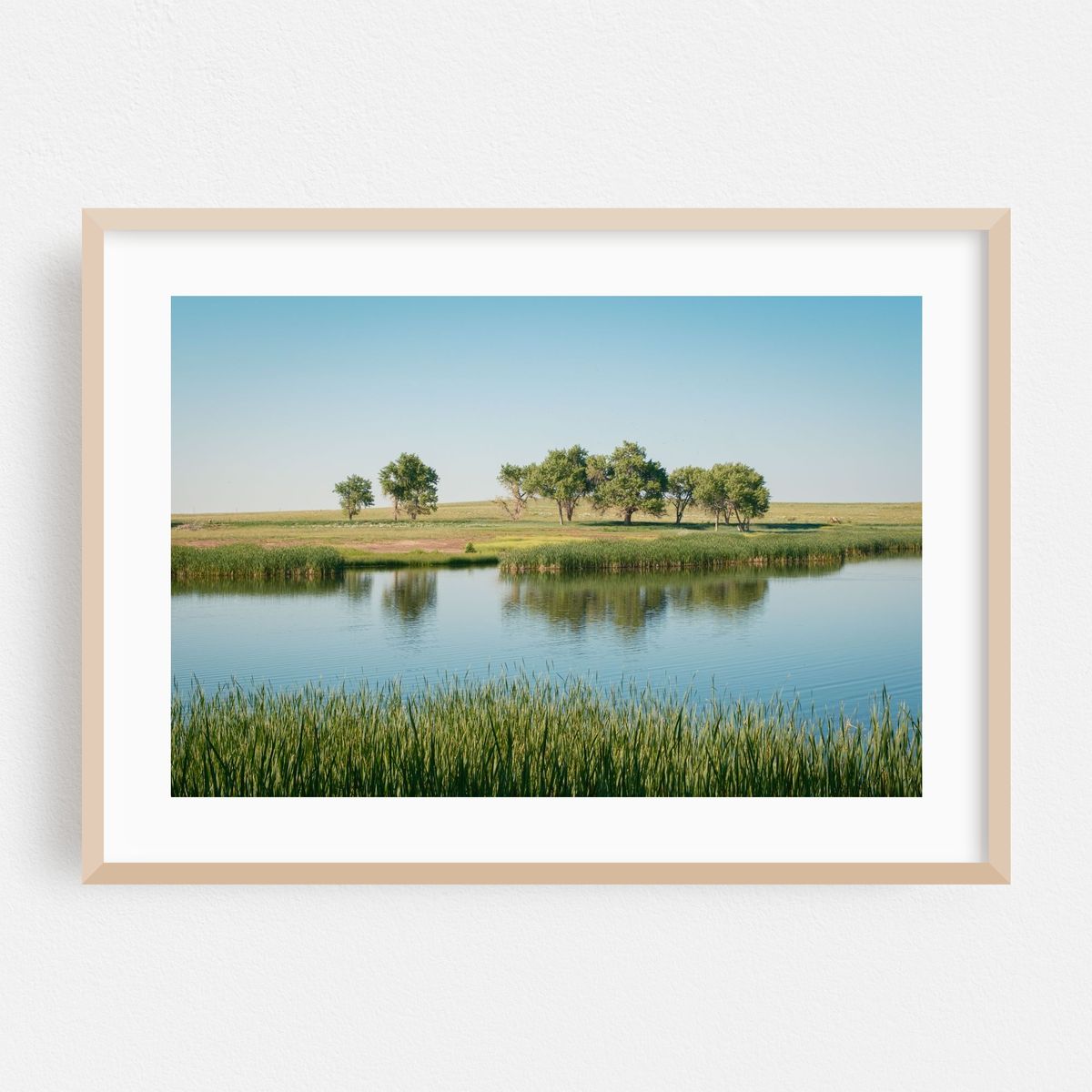 Lower Derby Lake, Rocky Mountain Arsenal National Wildlife Refuge 01 – image 1 of 6