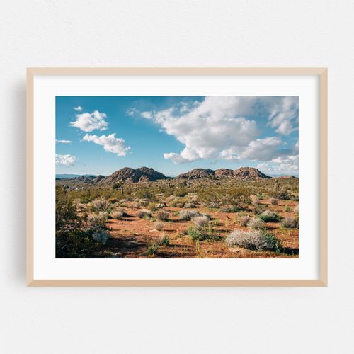 Desert Landscape, Joshua Tree 02
